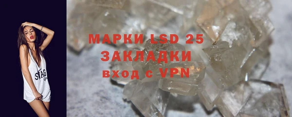 ПСИЛОЦИБИНОВЫЕ ГРИБЫ Алзамай