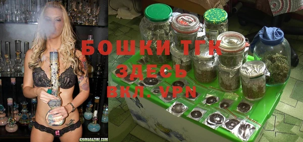 ПСИЛОЦИБИНОВЫЕ ГРИБЫ Алзамай